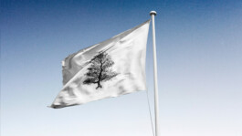  Benjamin Mugnier Portfolio - Creative Director, Visual Identity, UI/UX Design, Branding