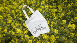  Benjamin Mugnier Portfolio - Creative Director, Visual Identity, UI/UX Design, Branding