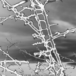  Benjamin Mugnier Portfolio - Creative Director, Visual Identity, UI/UX Design, Branding