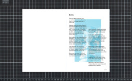 Benjamin Mugnier Portfolio - Creative Director, Visual Identity, UI/UX Design, Branding