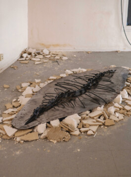 Benjamin Mugnier Portfolio - Creative Director, Visual Identity, UI/UX Design, Branding