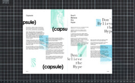 Benjamin Mugnier Portfolio - Creative Director, Visual Identity, UI/UX Design, Branding