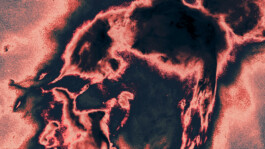  Benjamin Mugnier Portfolio - Creative Director, Visual Identity, UI/UX Design, Branding