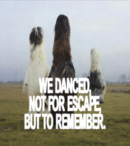  Benjamin Mugnier Portfolio - Creative Director, Visual Identity, UI/UX Design, Branding